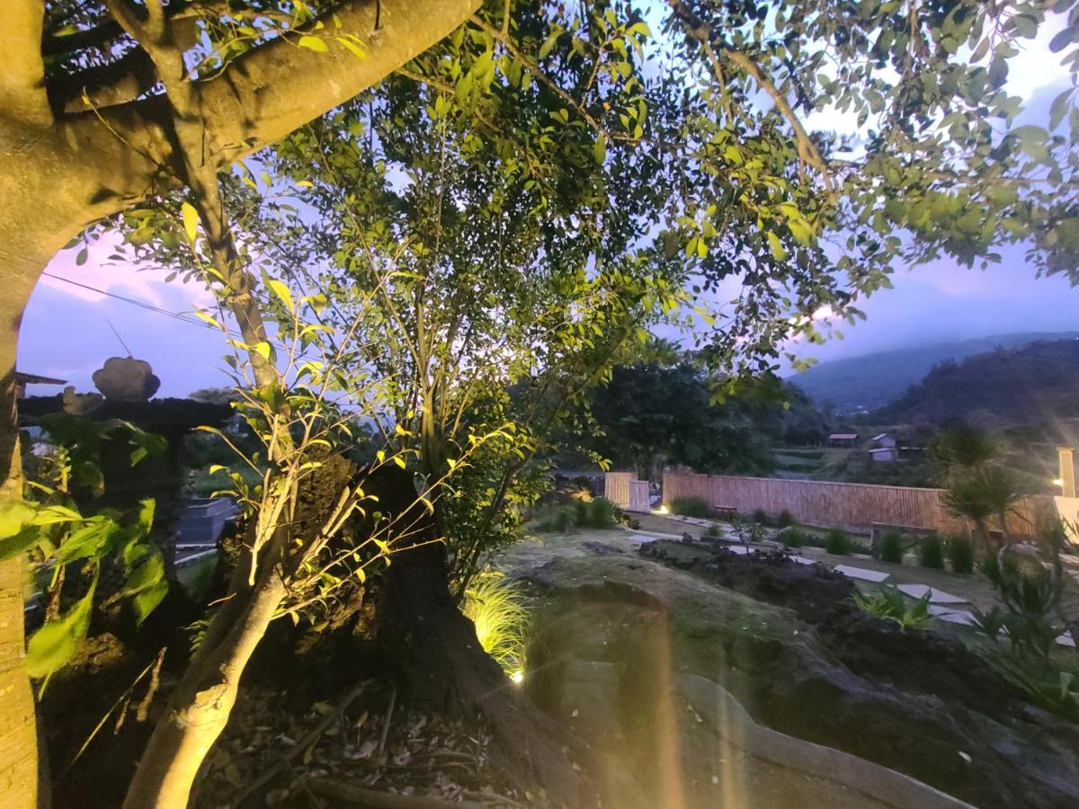 Alam Bali Lake View Bangli Buitenkant foto